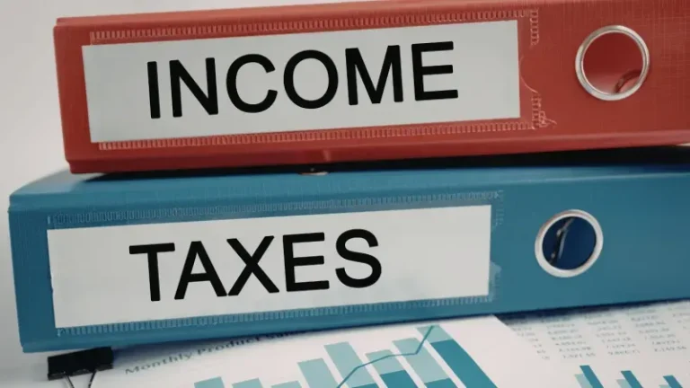 Income Tax Consultants in Nepal: When DIY Filing Becomes Risky